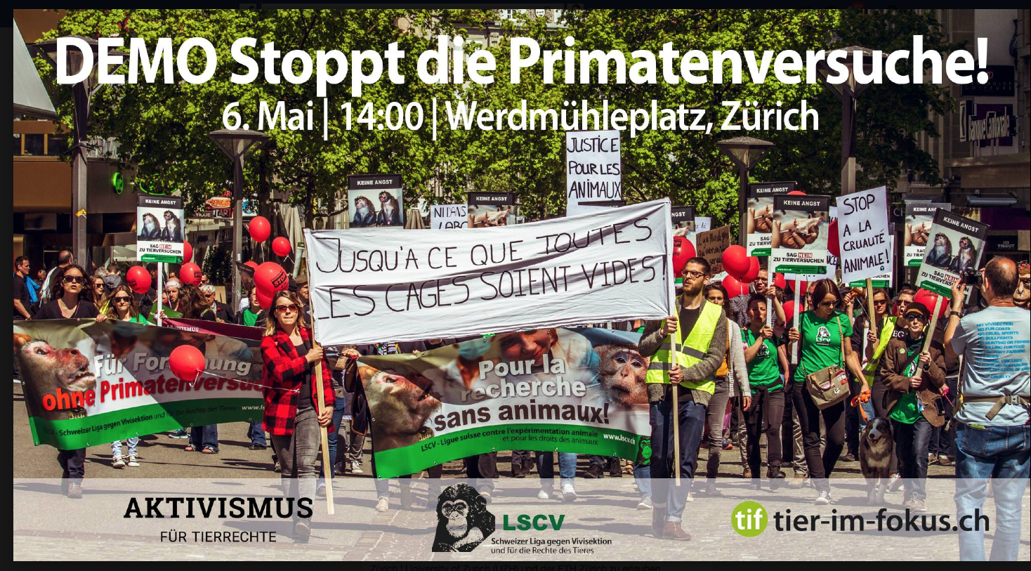 Demo-Stopp-Primatenversuche